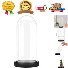 Clear Decorative Glass Cloche