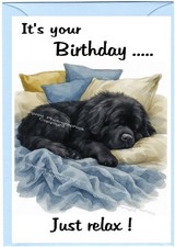 Newfoundland Dog Birthday Card