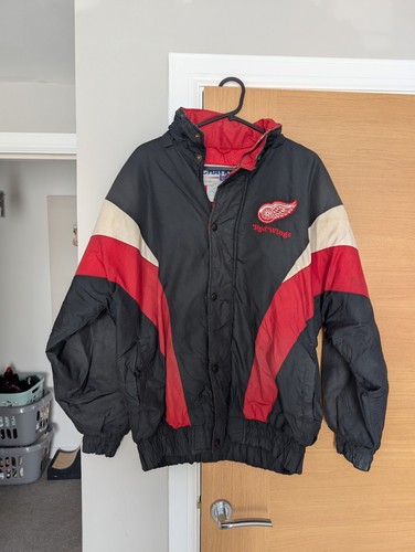 Detroit red wings - wings,