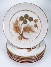 6 x Vintage Denby Cotswold