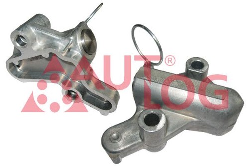 Camshaft drive chain and