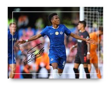 Estevao Willian Signed