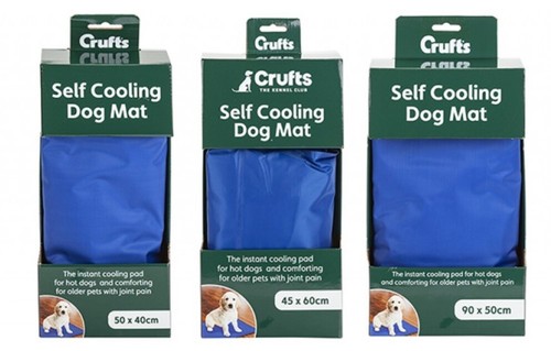 Crufts summer holiday - crufts, dog