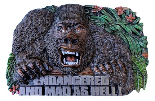 Gorilla belt buckle - buckle, with