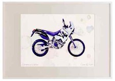 A3 Photo Frame KTM 640LC4