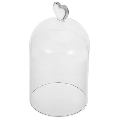 Glass dome decor cloche - dome, with