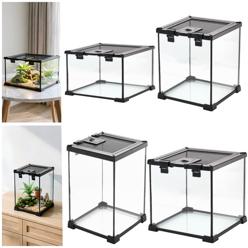 Clear glass reptile - glass, terrarium