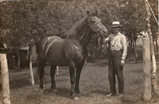 Postcard Rio Creek Wisconsin