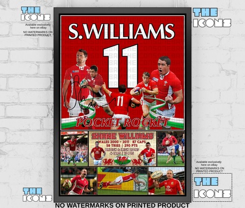 Shane williams wales - shane, rugby