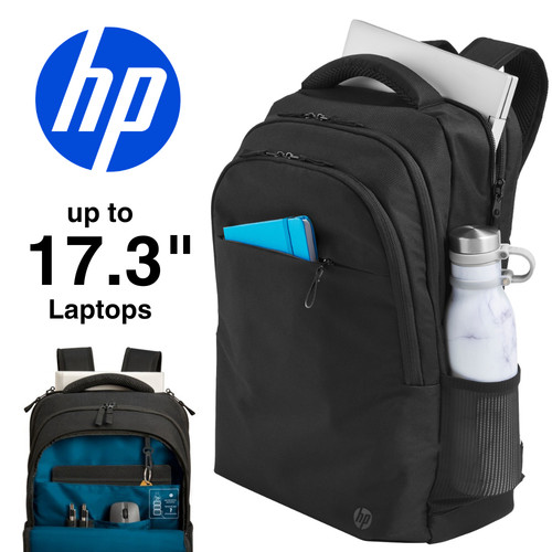 Professional laptop - 17.3",