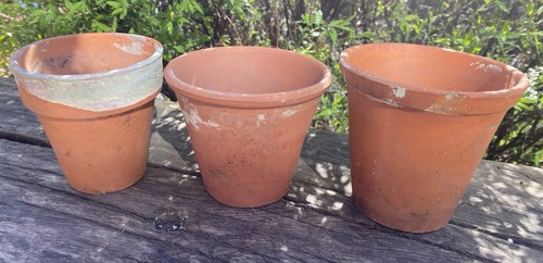 Vintage terracotta plant - terracotta,