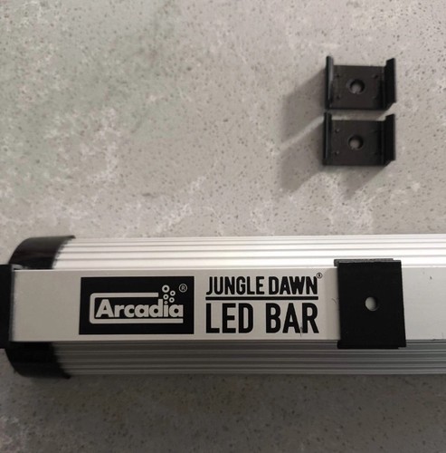 Arcadia jungle dawn led - dawn,