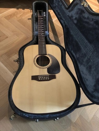 Simon patrick 12 string - &,