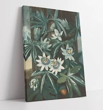 ROBERT JOHN THORNTON, BLUE PASSION FLOWER -CANVAS WALL ART PICTURE PRINT