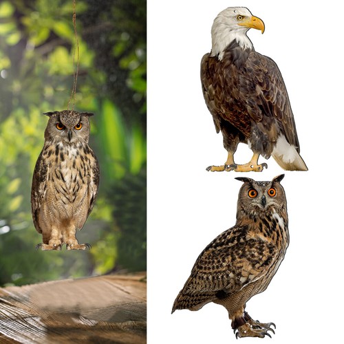 Owl decoy bird deterrent - decoy,