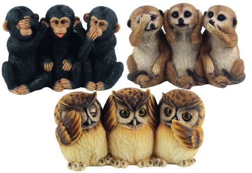 Wise meerkats chimpanzees or - wise,
