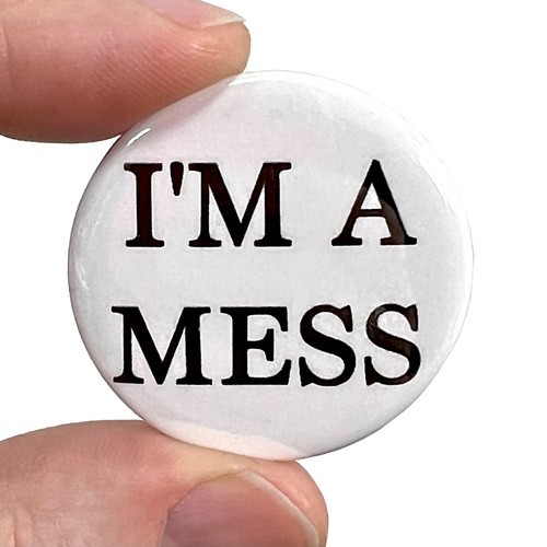 Mess the sex pistols - i'm,