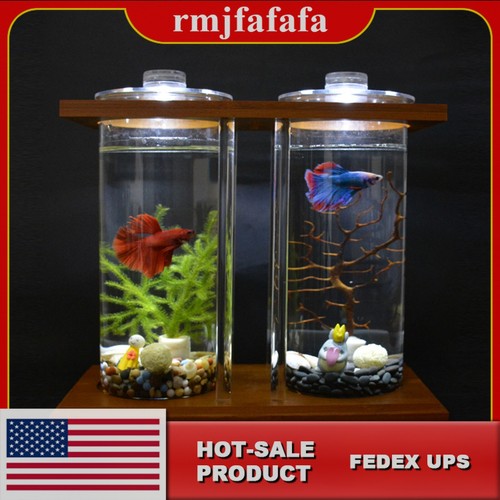 Dual glass desktop fish - dual,