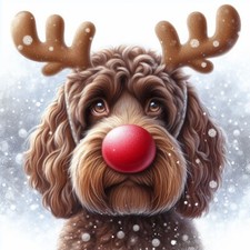 Single Luxury Chocolate Cockapoo Christmas Card Dog Gift/Present RUD