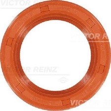 Original Victor Reinz Shaft