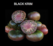 BLACK KRIM TOMATO - Rare Award