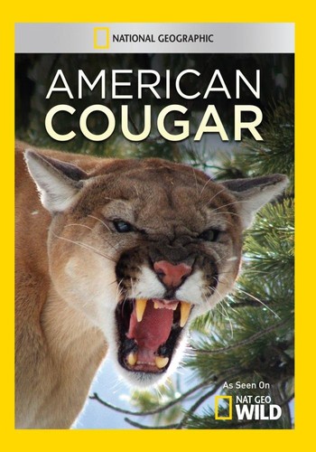American cougar us - cougar, (dvd)