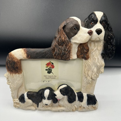 English springer spaniel - english,