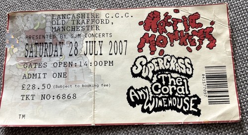 Arctic monkeys supergrass - arctic, monkeys,