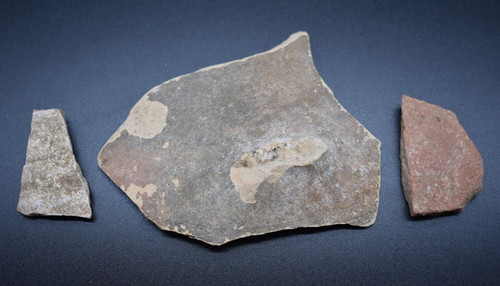 Group ancient roman - of,