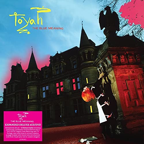 Toyah blue meaning - -,