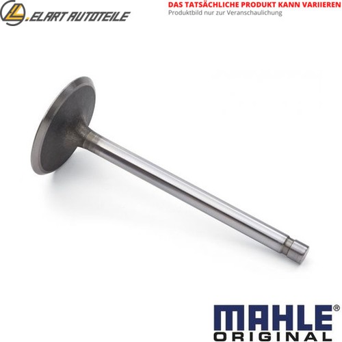 Inlet valve 007 31880 - valve,