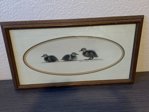 Mallard ducklings john - ducklings, by