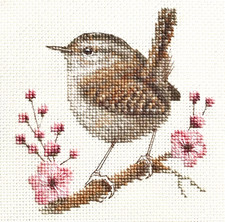 WREN with BLOSSOM Garden Bird