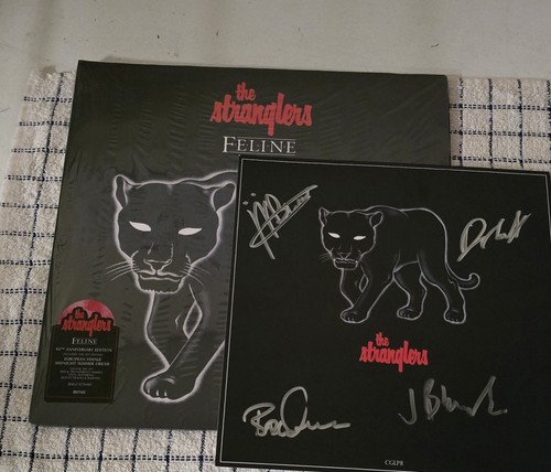 Felin with signed card - 10",