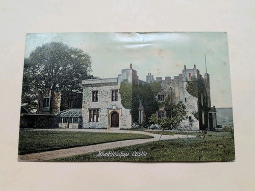Blenkinsopp castle 1907 - blenkinsopp,