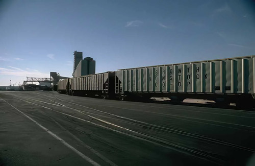 Grain cars silo - cars, print