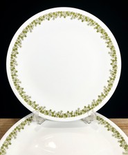 Corelle Corning Dinner Plates