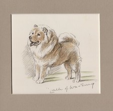 Lucy Dawson ~ Chow Chow ~ Hand Coloured Print Genuine Vintage 1936
