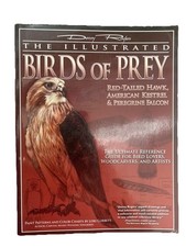 Illustrated Birds of Prey, The Red Tailed Hawk, Americ - Paperback Denny Rogers