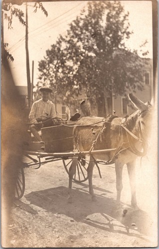Rppc donkey cart - &, mule