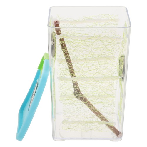 Snail tarantula enclosure fish - snail,