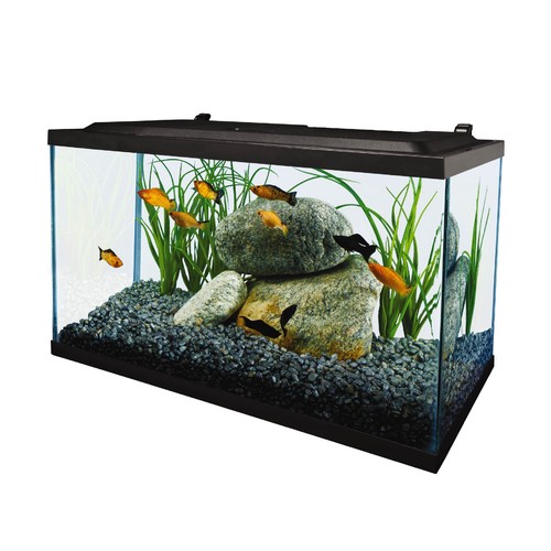 Tetra gallon led - 10, aquarium