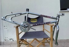 Mongoose Expert 95’