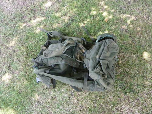 British army issued - british,