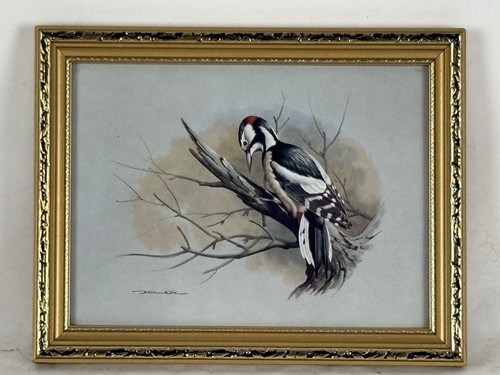 Basil ede great spotted - ede,