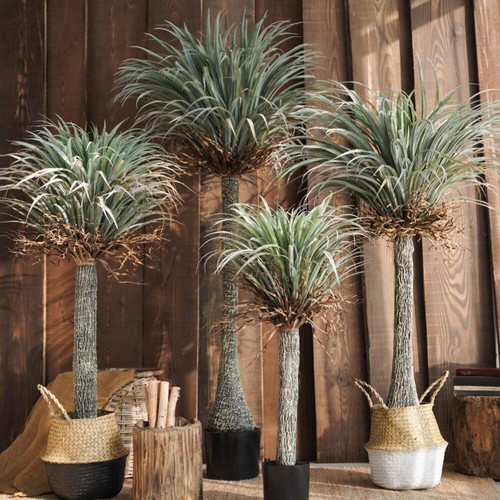 Artificial palm tree - artificial,