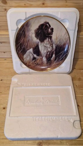 Dog springer spaniel plate - dog,
