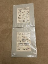 H M Bateman, 1922, Pair Of Hand Coloured Mounted Rugby Themed Prints