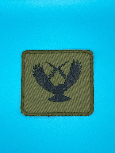 Raf regiment patch air cadet - raf,