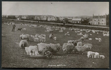 Banchory Aberdeenshire - Arbeadie RP c1920 (R4512)